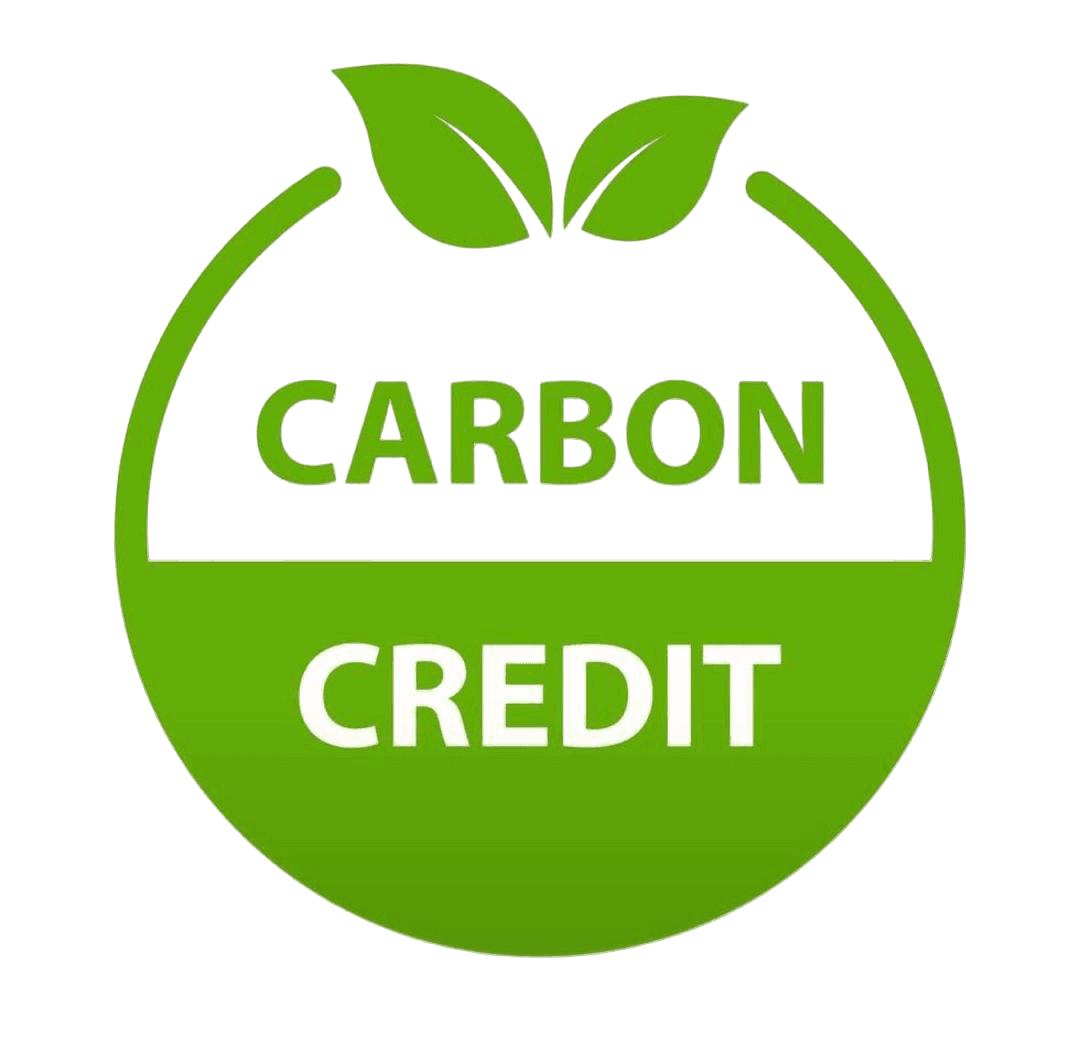 Carbon Credit