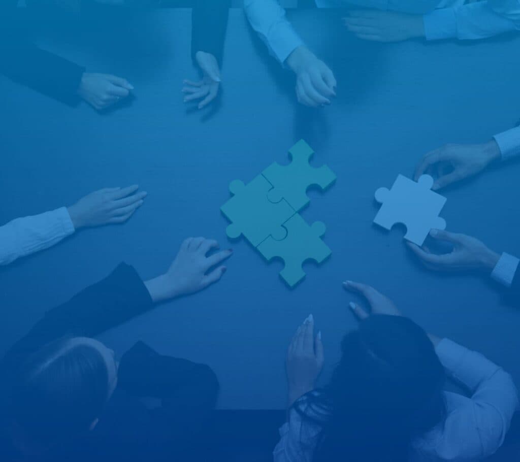 Software Project Management